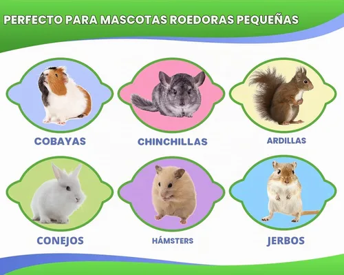 Vista 5 de Abizoo Juguetes masticables de conejito para conejos, 18 palitos de madera de manzana natural con pétalos, buenos para chinchillas, cobayas