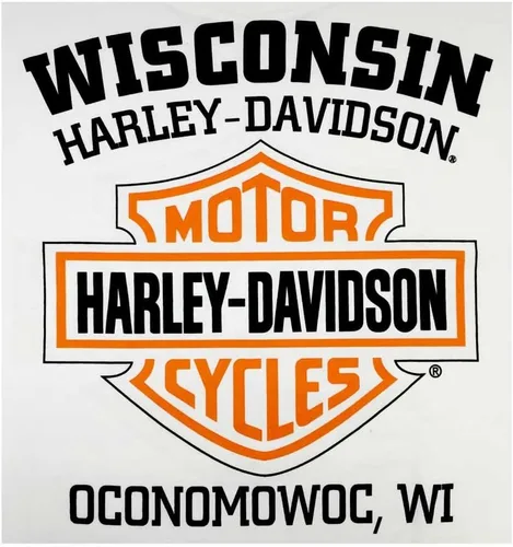 Vista 2 de Harley-Davidson Camiseta naranja Bar & Shield para hombre 30290591