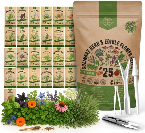Vista 8 de Organo Republic Paquete variado de 12 semillas de hierbas culinarias - 7,355+ semillas criollas, sin transgénicos, para jardinería en interiores