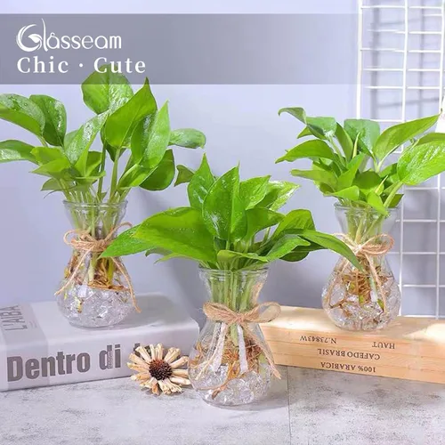 Vista 7 de Glasseam Jarrón de cristal transparente para flores, juego de 3 jarrones de bombilla para forzar bulbos de jacinto, pequeños jarrones decorativos
