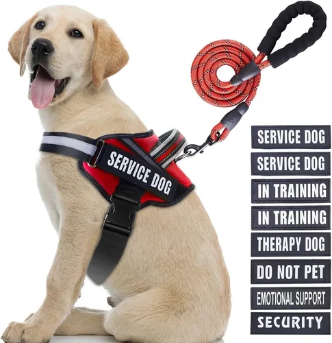 Vista 43 de Juego de Chaleco y Correa para Perro de Servicio, Arnés de Entrenamiento Animire para Perro con 10 Parches para Perros, Correa Reflectante