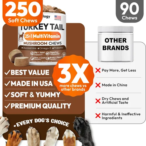 Vista 2 de Hongo de cola de pavo para perros – 250 masticables – Melena de león – Shiitake – Reishi – Protector de apoyo inmunológico Buddy – Suplemento