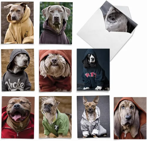 Vista 11 de The Best Card Company - 10 tarjetas de felicitación para perros en blanco para todas las ocasiones (4 x 5.12 pulgadas) - Boo El perro más lindo