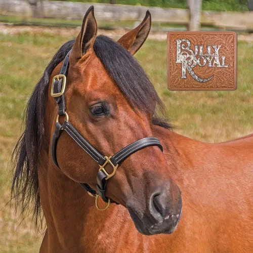Vista 4 de Billy Royal Belmont Cabestro de cuero para caballos Diseño de triple puntada Broche ajustable para nariz y garganta Cuero de grado A Ajuste