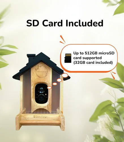 Vista 3 de SensForge Cámara inteligente de alimentador de pájaros AI, vista en vivo HD de 2.5 K, alimentador de madera para exteriores alimentado por energía