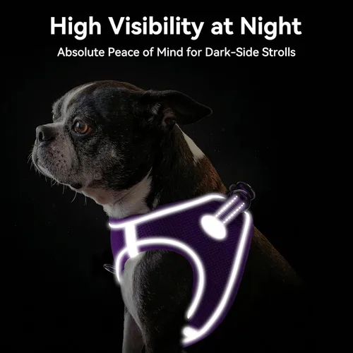 Vista 46 de Joytale Arnés para Perros Pequeños, Chaleco de Malla Transpirable Step-in, Arneses Acolchados Suaves Reflectantes para Gatos y Perros Cachorros