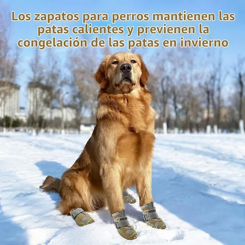 Vista 7 de Botas para perros grandes, botas para perros medianos y protectores de patas para suelos de madera dura, botines para perros al aire libre