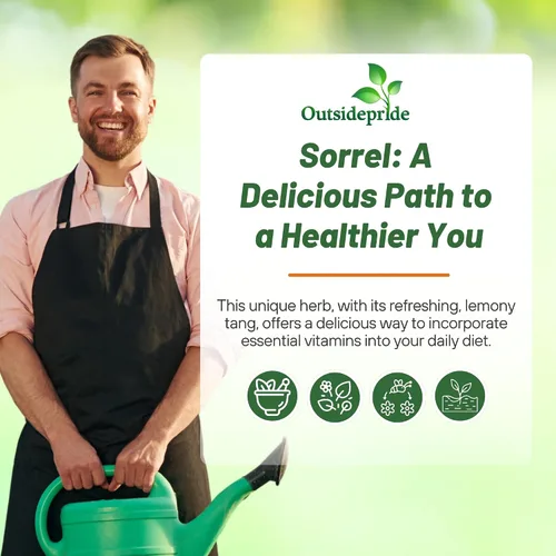 Vista 5 de Outsidepride Semillas de acedera – 5,000 piezas de hierbas perennes, fáciles de cultivar, tolerantes a la sequía y a las heladas y microverdes