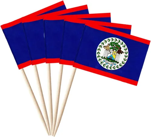 Vista 32 de stidsds 100 banderas de Antigua y Barbuda con palillos de dientes de Antigua y Barbuda, mini adornos pequeños para cupcakes de Antigua y Barbuda