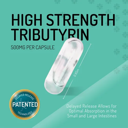 Vista 3 de Healus Suplemento posbiótico a base de tributirina biótica completo. Absorción avanzada patentada. Butirato para la salud intestinal. Cápsulas
