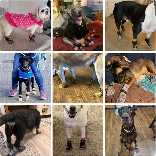 Vista 6 de KOOLTAIL Calcetines antideslizantes para perros para pavimento caliente/frío para evitar lamer patas, botas de perro y protector de patas