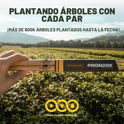 Vista 5 de Baquetas de concierto ProMark SD1 Hickory con punta de madera