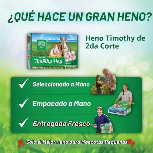 Vista 6 de Small Pet Select 2º Corte Perfect Blend Timothy Hay, alimento para cobaya, conejo, hámster, conejito, chinchilla u otros animales pequeños, heno