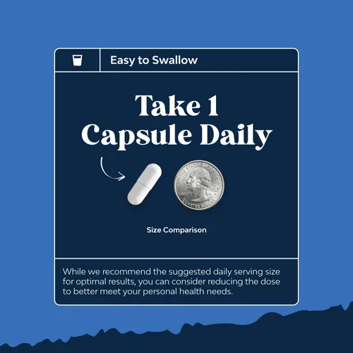 Vista 8 de Suplemento DHEA para mujeres y hombres – DHEA 25 mg por porción cápsulas para el equilibrio hormonal – Promueve la estabilidad del estado de ánimo
