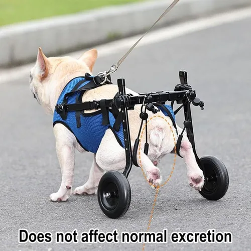 Vista 3 de Silla de ruedas ligera para perros y patas traseras, carrito ajustable con 2 ruedas, soporte de cadera transpirable, soporte para la pierna, ayuda a