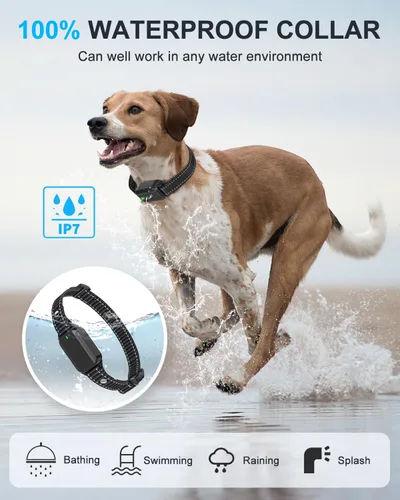 Vista 5 de Collar de entrenamiento para perros con control remoto para 2 perros, 10-120 libras, 3300 pies, impermeable, sin golpes, collar de perro vibratorio