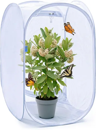 Vista 8 de Pop Up jaula del hábitat de la mariposa, terrario transparente plegable