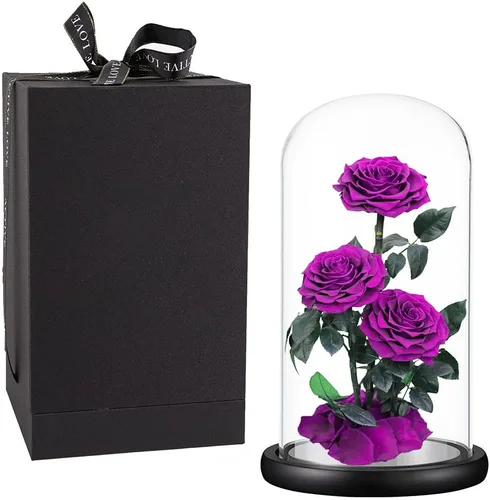 Vista 11 de Rosas preservadas, rosas negras en cúpula de cristal, medianas, flores preservadas para el día de la madre, regalos para mujeres Negro