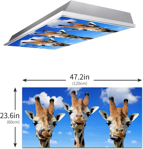 Vista 3 de 2 cubiertas de luz fluorescente para el aula, divertidas cubiertas magnéticas fluorescentes de jirafa, cubiertas de luz de techo, cubiertas de panel