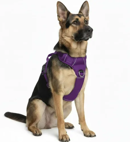 Vista 17 de Arnés sin tirones para perro, con 2 clips para correa, chaleco Oxford reflectante ajustable para mascotas con asa de fácil control para perros Negro