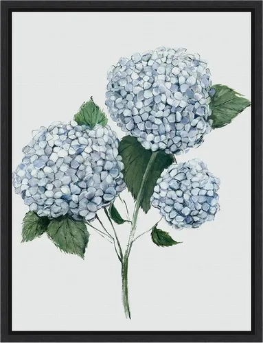 Vista 7 de Amanti Art Framed Canvas Wall Art 24x18 Fresh Blue Hydrangea II by Hannah Dawson, Framed Wall Art Canvas, Flowers Artwork, Traditional Decor, Medium