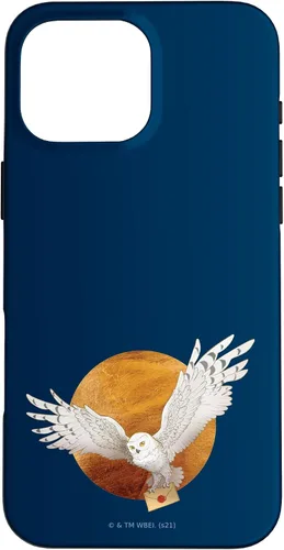 Vista 19 de Harry Potter Hedwig and The Moon Case for iPhone 17
