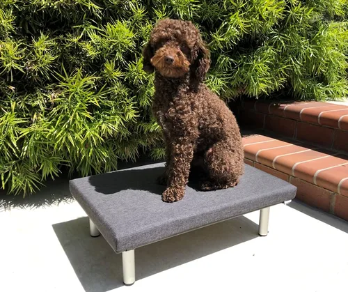 Vista 4 de Foreman® Cama elevada para perro impermeable para interiores y exteriores con un cojín lavable resistente a los rayos UV, color gris XS