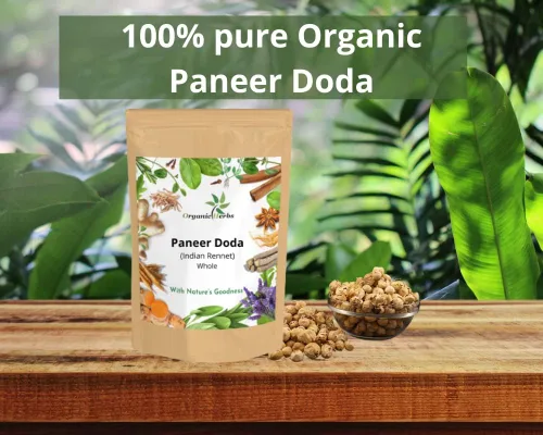 Vista 3 de Cuajo indio a base de hierbas ayurvédicas Paneer Doda Paneer ka Phool Withania Coagulan (Cuajo Indio, 2.2 lbs)