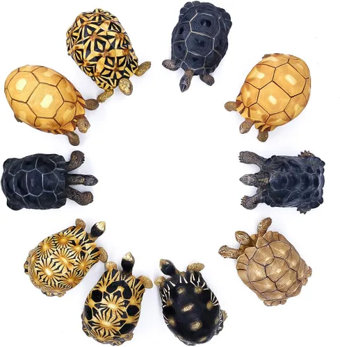 Vista 5 de PPCLION Galapacos - Figura de estatua de tortuga para decoración de regalo