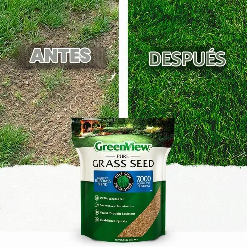 Vista 5 de GreenView Pure Grass Seed Kentucky Bluegrass Blend, bolsa de 3 libras