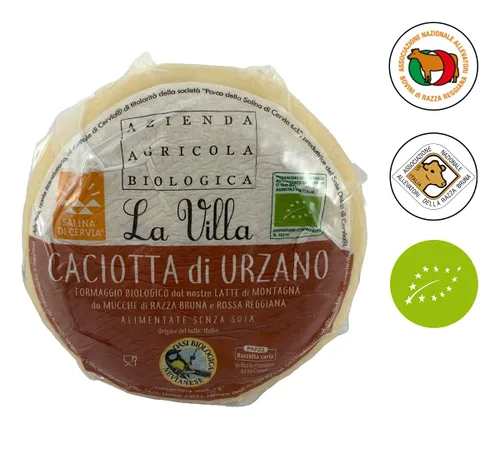 Vista 4 de Queso Caciotta ecológico di Urzano - Producto de montaña - Italia - Milk Vacche Rosse/Brune