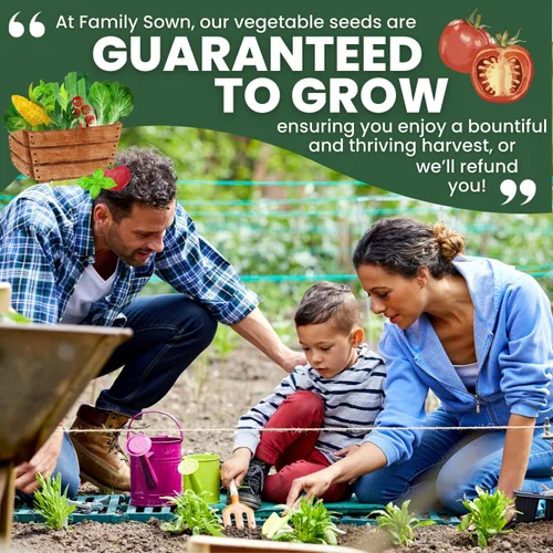 Vista 7 de Matt's Wild Cherry Tomate – 400 semillas premium para plantar – Tomates cherry prolíficos, dulces y de crecimiento vigoroso para la temporada 2026