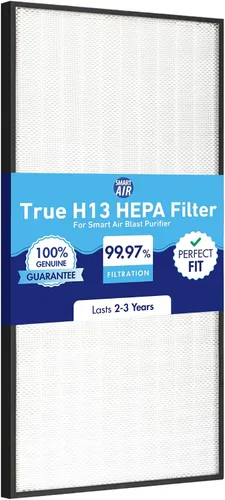 Vista 6 de Smart Air (también conocido como Smart Health) Blast MKII - Filtro de carbono de repuesto genuino que elimina olores, humo, ozono y gases nocivos