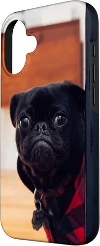 Vista 2 de Funda para iPhone 16 con diseño de pug negro