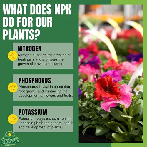 Vista 8 de Nelson Plant Food s ColorStar Fertilizante para plantas de interior y exterior – Alimento vegetal denso en nutrientes para aumentar