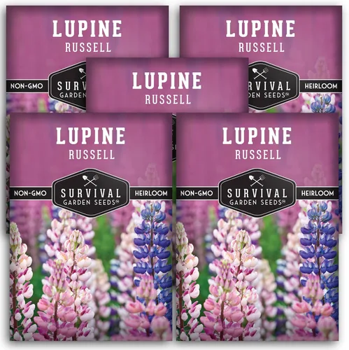 Vista 11 de Survival Garden Seeds Russell Lupine Mix Semillas para plantar, 1 paquete Mezcla de flores perennes, picos altos y coloridos, flores de jardín