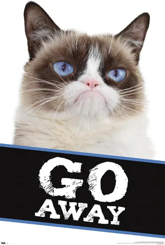 Vista 7 de Trends International Grumpy Cat - Póster de pared con texto en inglés «Go Away», 14.725 x 22.375 pulgadas, versión enmarcada de madera de granero
