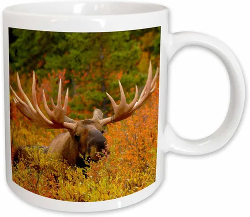 Vista 10 de 3dRose 142049_4 - Taza, 11 onzas, color negro