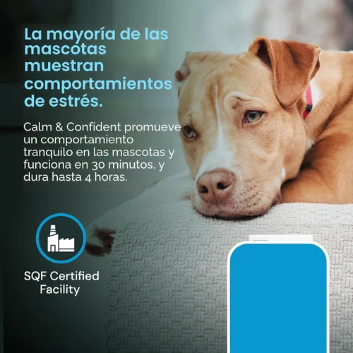 Vista 7 de Vetriscience Veterinary Strength Calm & Confident - Golosinas masticables para mascotas con estrés, suplemento para apoyar la función cerebral