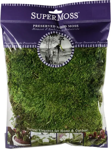 Vista 12 de SuperMoss - Musgo decorativo preservado., Verde fresco