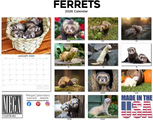 Vista 486 de Calendario de grises africanos 2025 2026 – Planificador mensual de pared de aves africanas – 12 x 18 pulgadas (abierto), calendario de pared