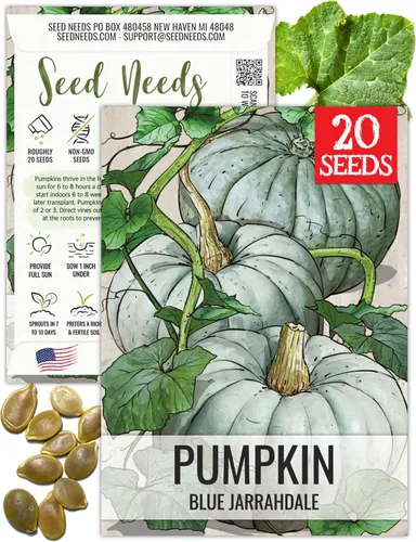 Vista 10 de Seed Needs Semillas de calabaza para plantar calabazas pequeñas de tarta de azúcar, semillas de verduras sin OMG y sin tratar para plantar un huerto