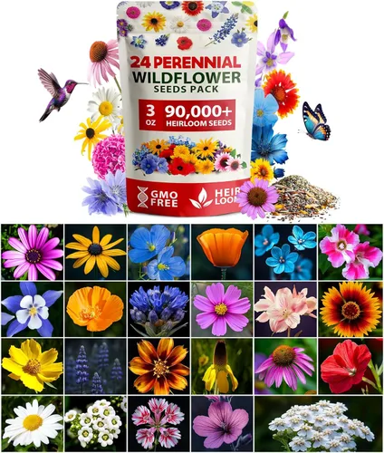 Vista 18 de HOME GROWN - 49 000 semillas de flores silvestres, mezcla a granel, 2 onzas, 21 variedades de mezcla de flores silvestres, para atraer abejas