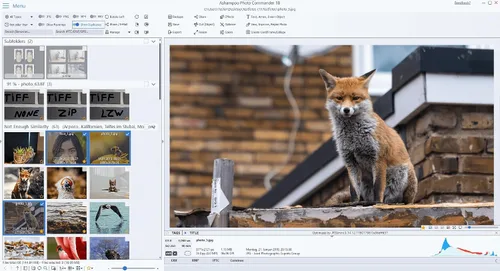 Vista 3 de Photo editing software compatible with Windows 11, 10 – view, edit, enhance and organize your photos – more than 200 features