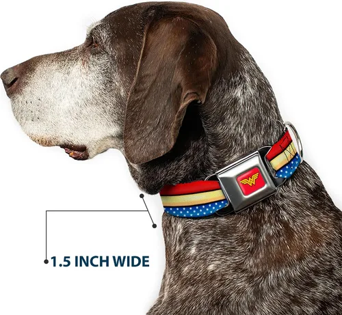 Vista 7 de Buckle-Down Collar de perro con hebilla de cinturón de seguridad, diseño de mujer maravilla, rayas, estrellas, rojo, oro, azul, blanco, 1 pulgada