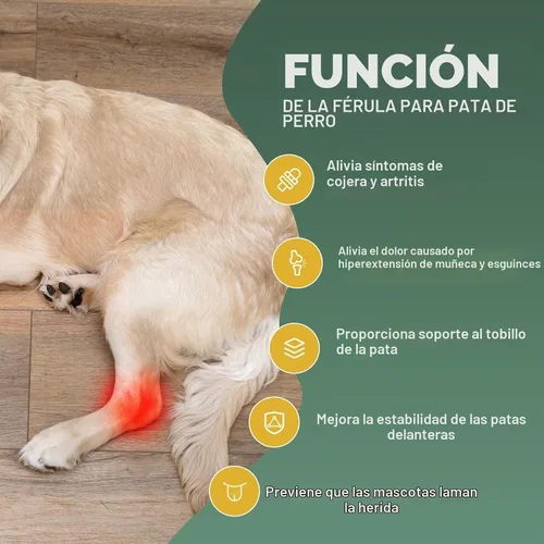 Vista 3 de Tobillera corta de pierna trasera para perro, 1 par