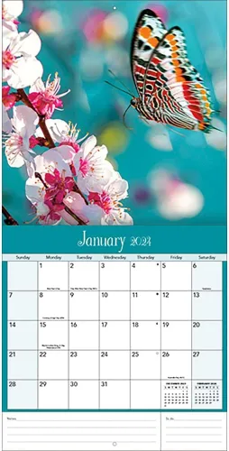 Vista 5 de Turner - Mini calendario fotográfico de pared con mariposas (24998950054)