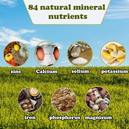 Vista 6 de Sal del Himalaya - Bloque de minerales naturales para caballos, ganados, ciervos, cabras y otros ganados de larga duración (2.4-3.3 libras)