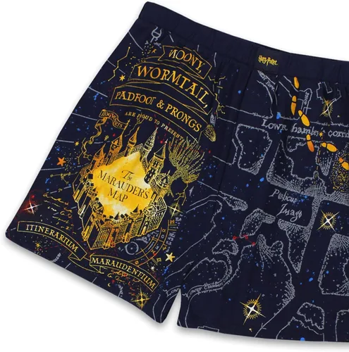 Vista 7 de Harry Potter Hogwarts Houses - Calzoncillos tipo bóxer para hombre