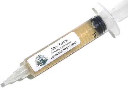 Vista 33 de Cultivo líquido de hongos/cabeza de oso (Hericium americanum)
